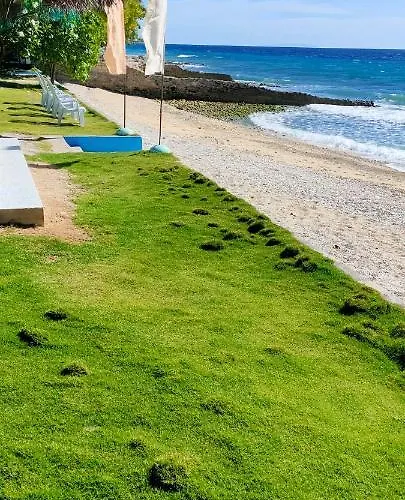 Aloha